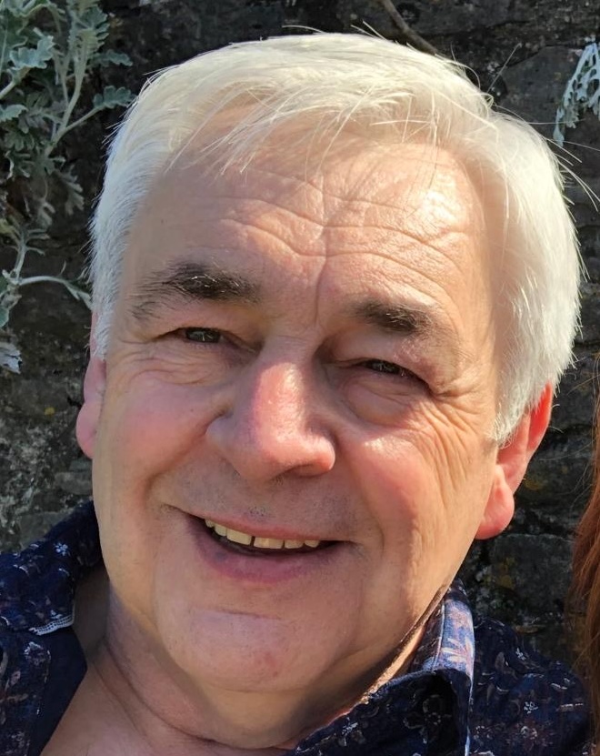 Robin — Cats at Home